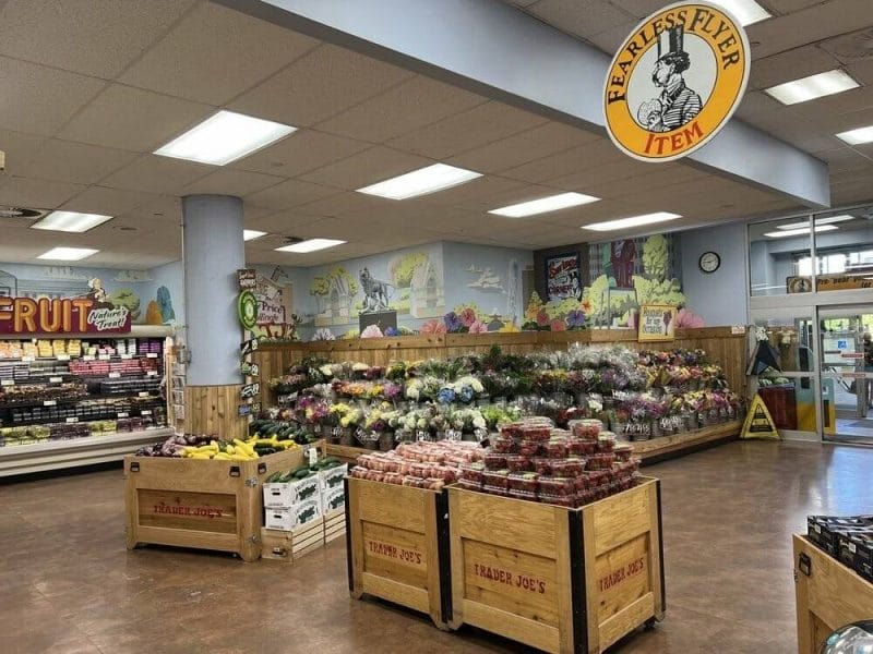 trader-joes - University City Apartments